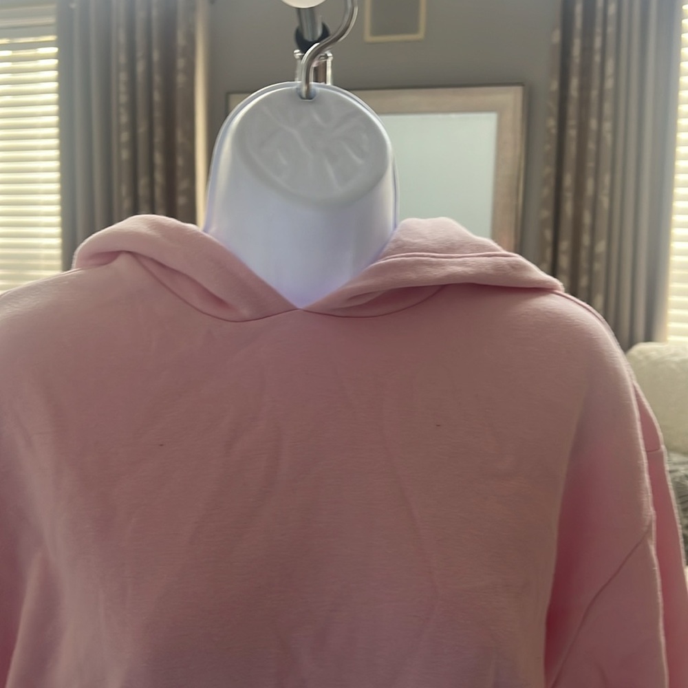 Skims pullover hoodie - Picture 2 of 8